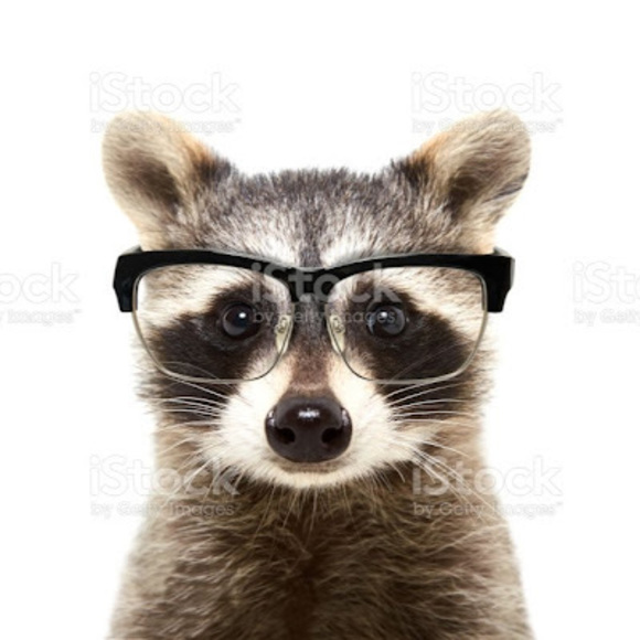 Meet your Posher, Jamie - Picture 1 of 1